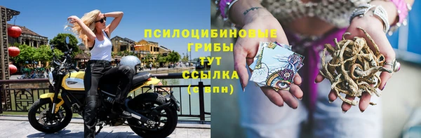 твердый Абинск