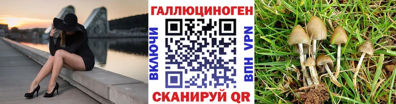Псилоцибиновые грибы Cubensis  Серпухов 