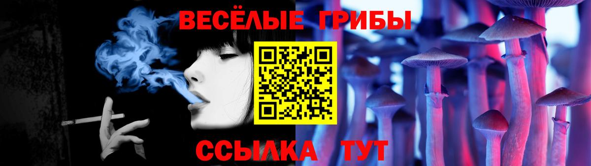 Серпухов  Галлюциногенные грибы MAGIC MUSHROOMS  Вход с VPN 